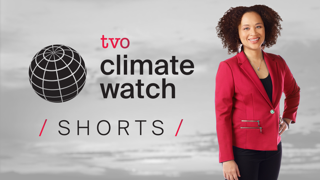 Texas Climate Watch – Texas State Multimedia Journalism
