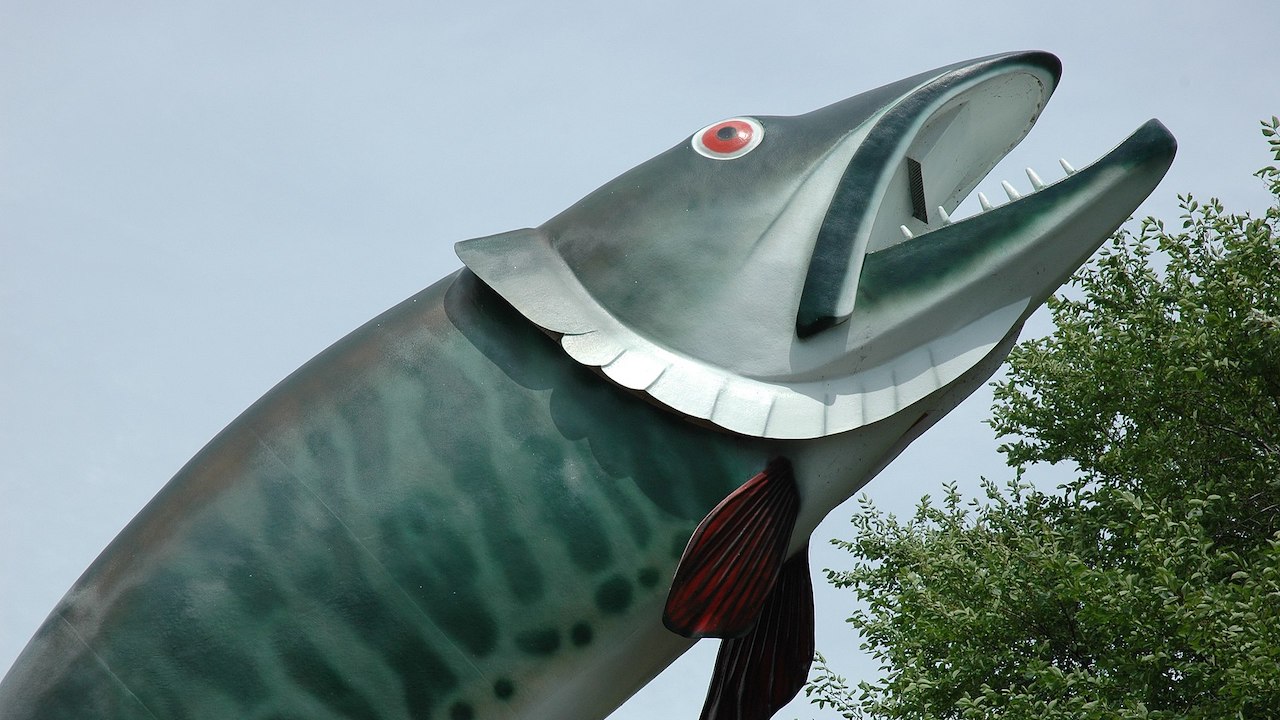 Kenora, Ontario attraction Husky the Muskie