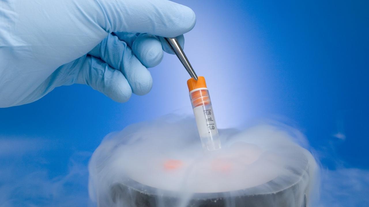 Who gets the frozen embryos in the divorce? TVO Today