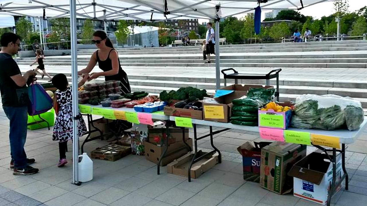 Time to make healthy food a human right? | TVO Today