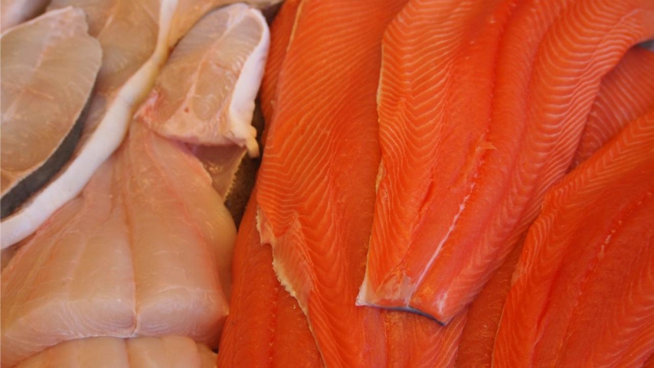 Costco cuts loose GMO salmon, Buy-Low Foods drops 'red-listed