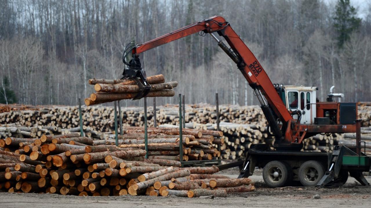 Why The U S Has Canada S Lumber Industry Shaking Like A Leaf TVO Today   Softwood Lumber 