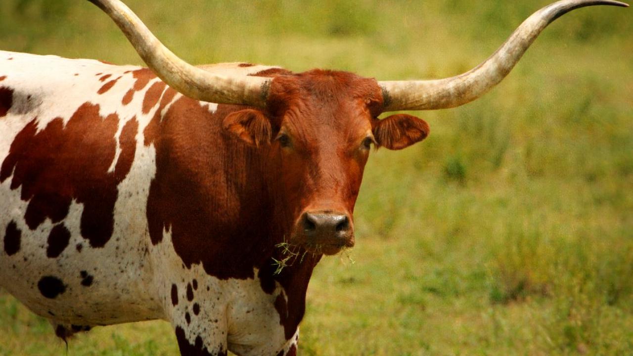 Why farmers are waking up to climate change