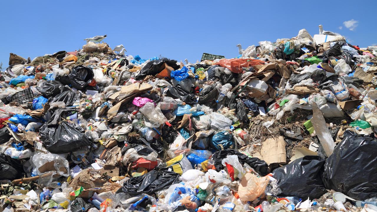 Ontarians need to start talking trash | TVO Today