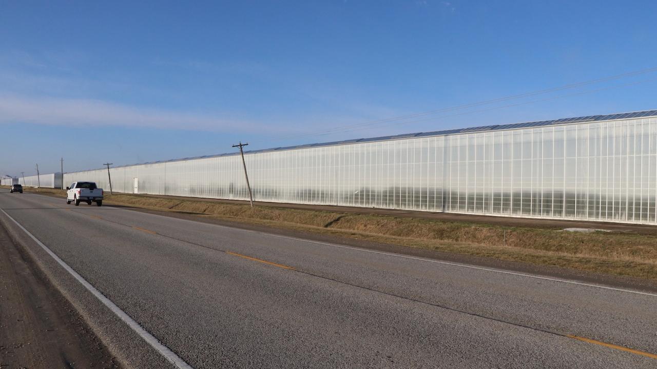 Has Ontario changed its approach to migrantworker housing? TVO Today