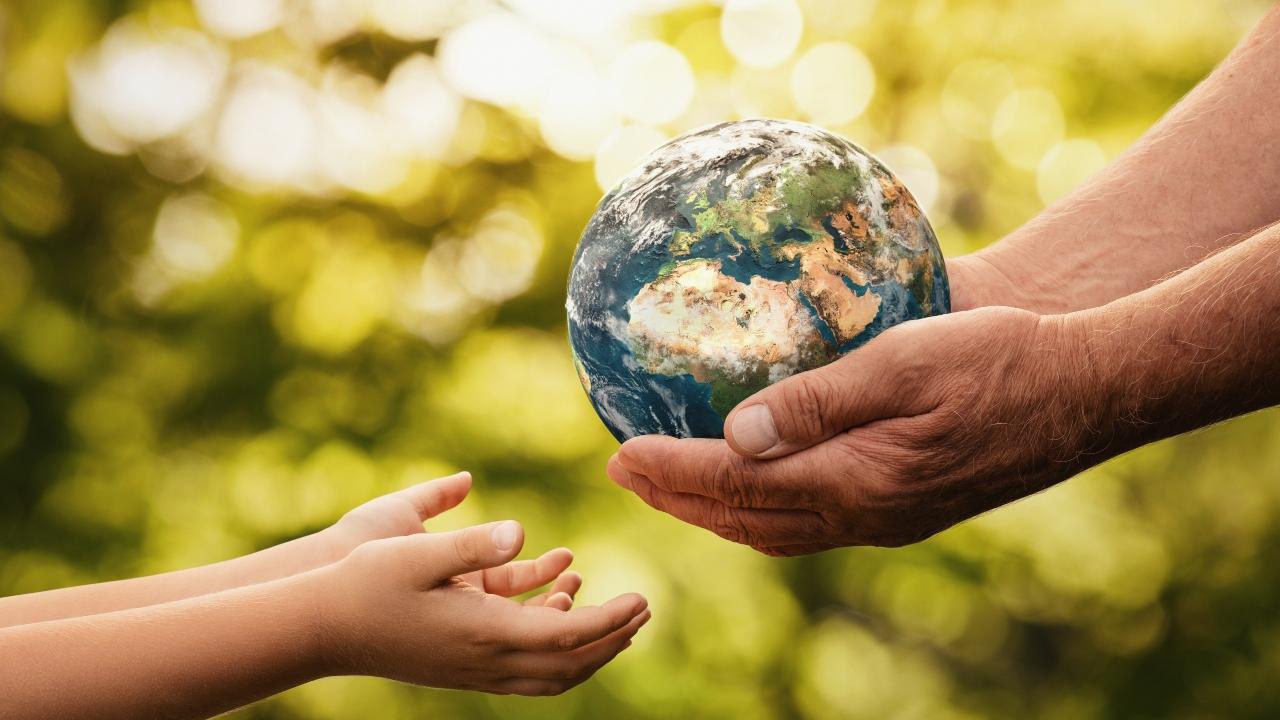 excerpt-tom-rand-s-the-case-for-climate-capitalism-economic