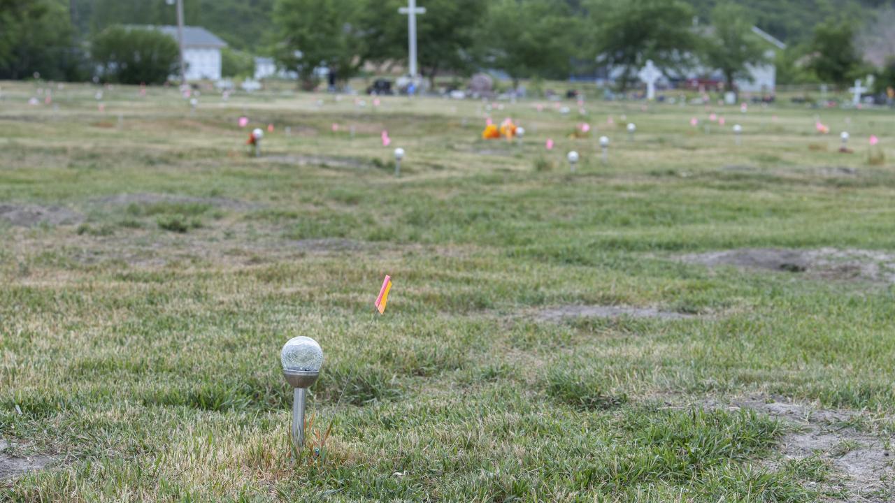 a grass field with flags marking potential unmarked graves